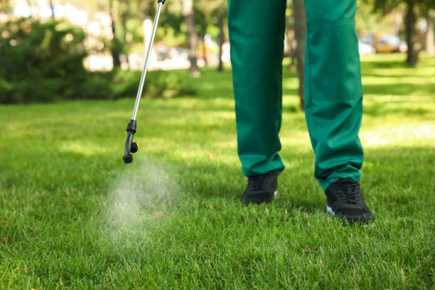 Best Commercial Pest Control Services  in Wailua Homesteads, HI