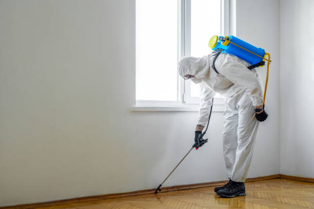 Best Best Pest Control Companies  in Wailua Homesteads, HI